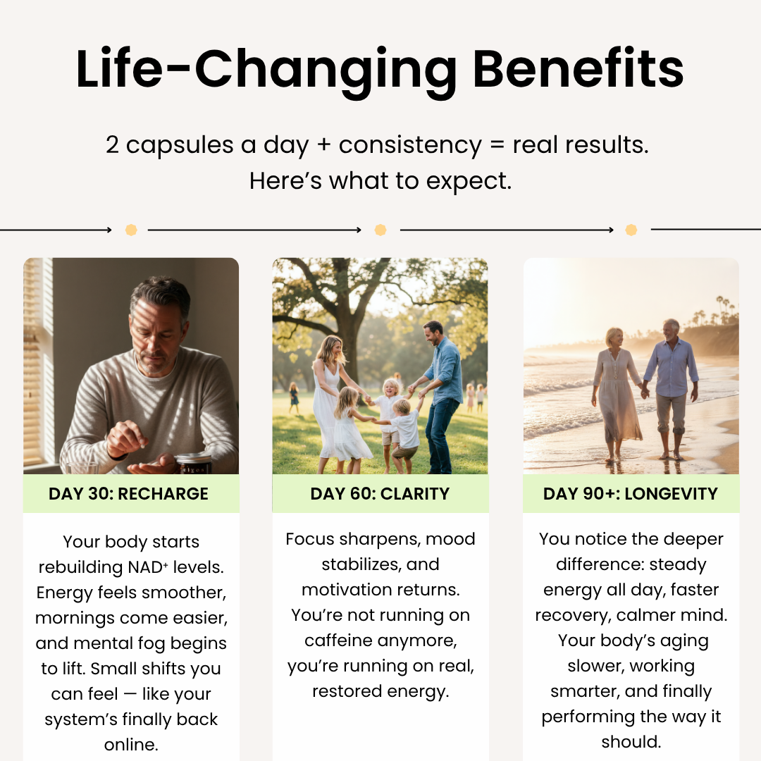 Elyos - Ultimate Longevity Formula