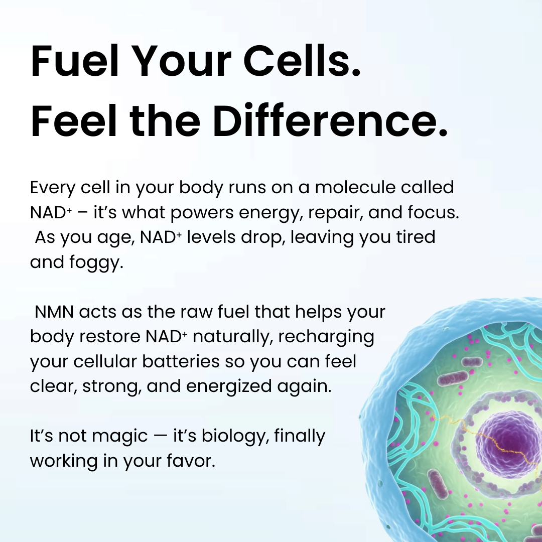 Elyos - Ultimate Longevity Formula